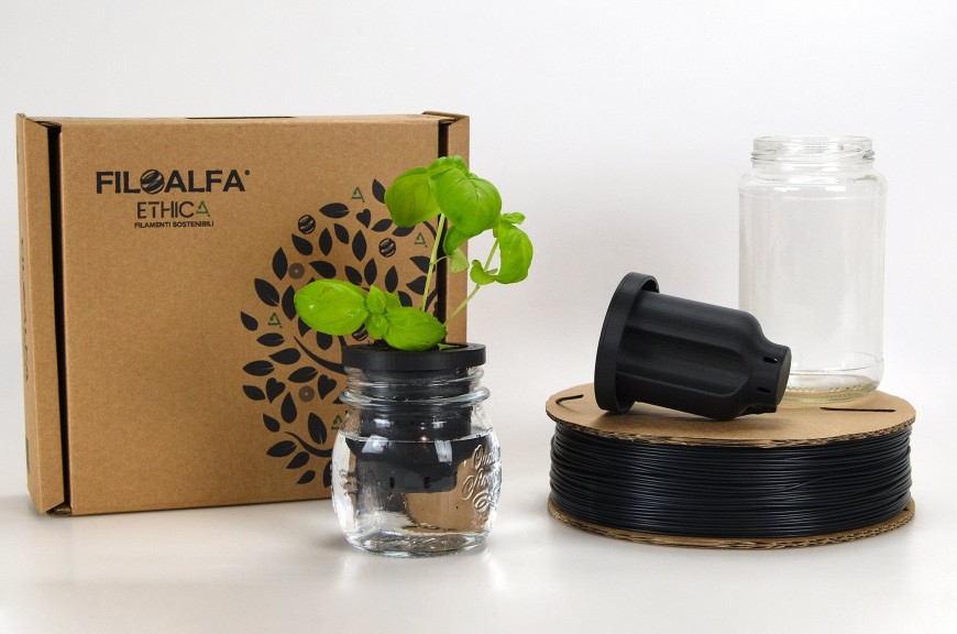 MAIP and FILOALFA join forces to grow together