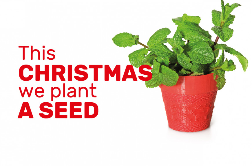 THIS CHRISTMAS WE PLANT A SEED